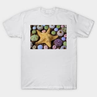 Giant Star And Sea Urchins T-Shirt